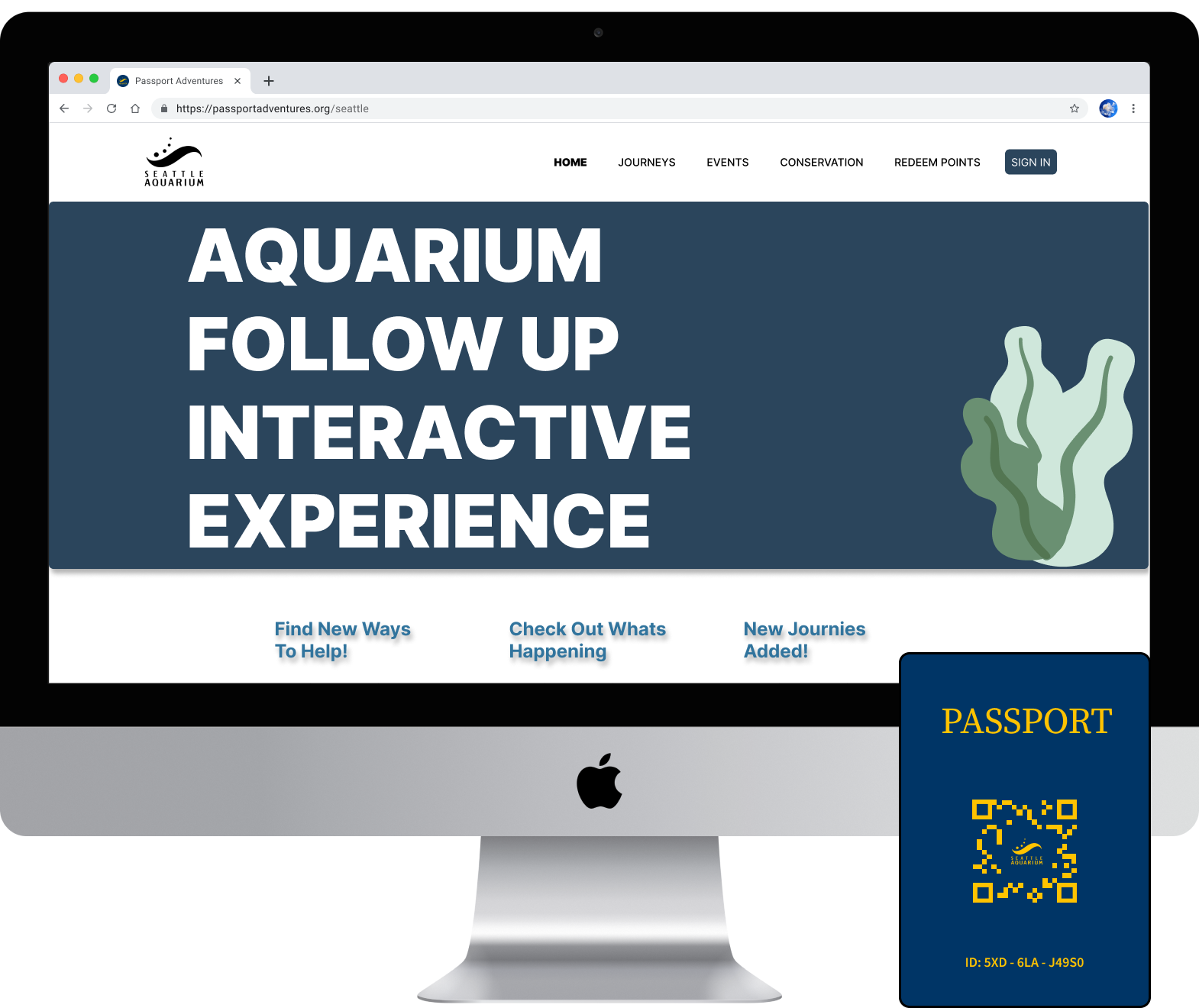 aquarium preview